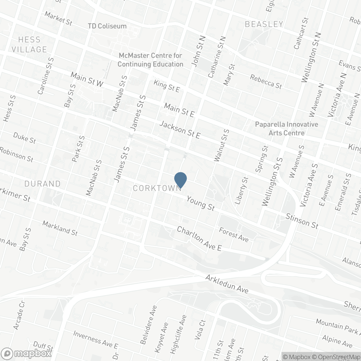 135 CATHARINE Street S, Hamilton, Ontario L8N 2J6